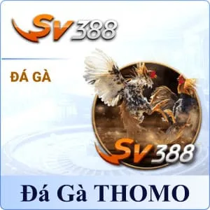 F168 - Website Chính Thức Nhà Cái F168 Bet | F168 OKVIP 43 F168 ĐÁ GÀ THOMO